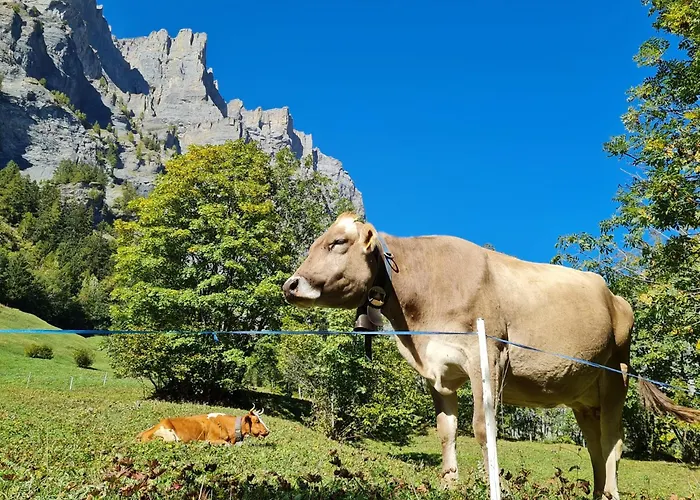 Bellathos *
